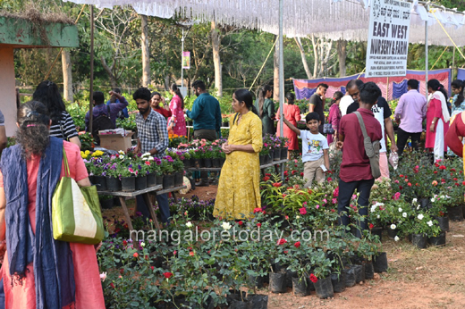 Flower Show